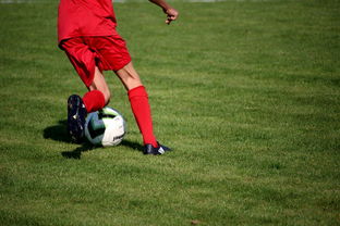 星空体育app体验棒-篮球运动员心理健康维护与心理支持系统建设,篮球心理素质