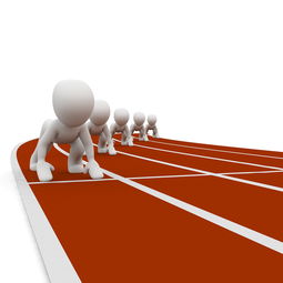 星空app官网-青少年体育赛事助力健康成长,青少年体育赛事体系