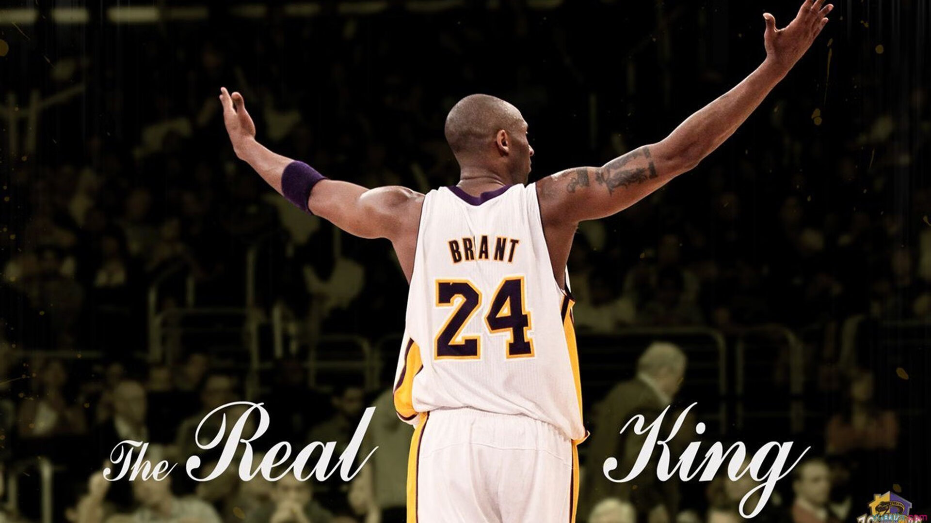 星空体育全站app-从职位争夺看导向引领，刘伟提出新思路